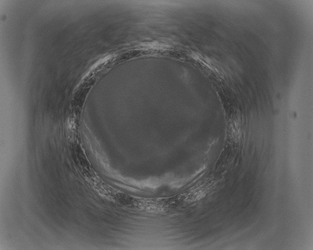 X0000084581254200703021520