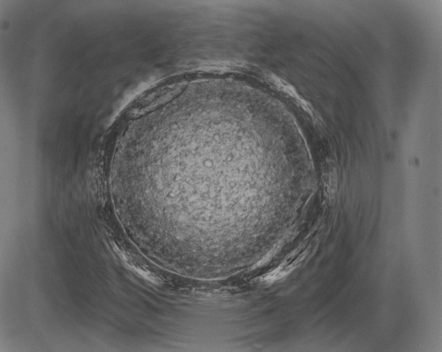 X0000084581256200703021520