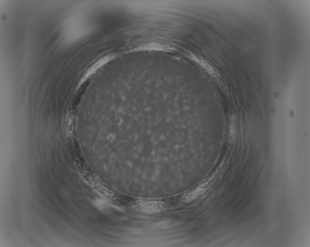 X0000084581258200703021520