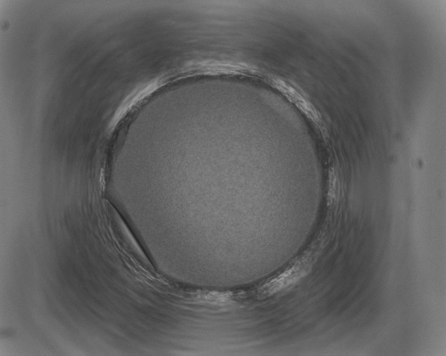 X0000084581261200703021520