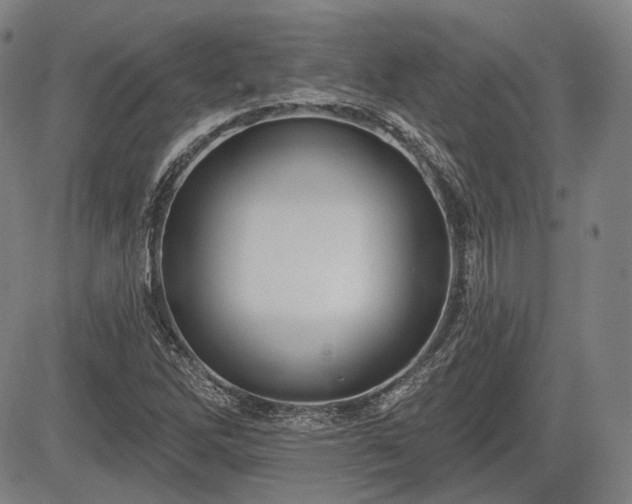 X0000084581262200703021520