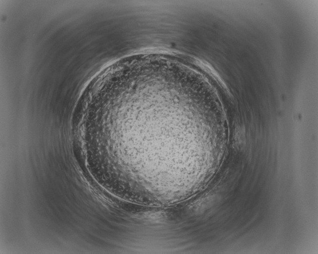 X0000084581268200703021520
