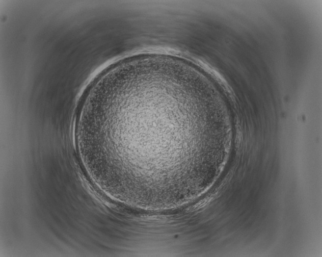 X0000084581272200703021520