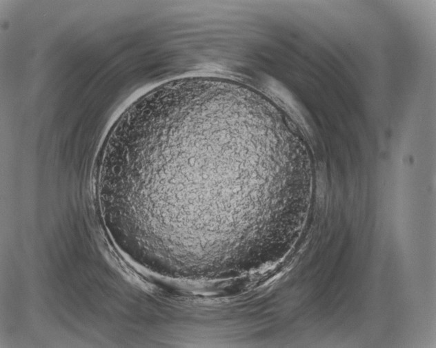 X0000084581292200703021519