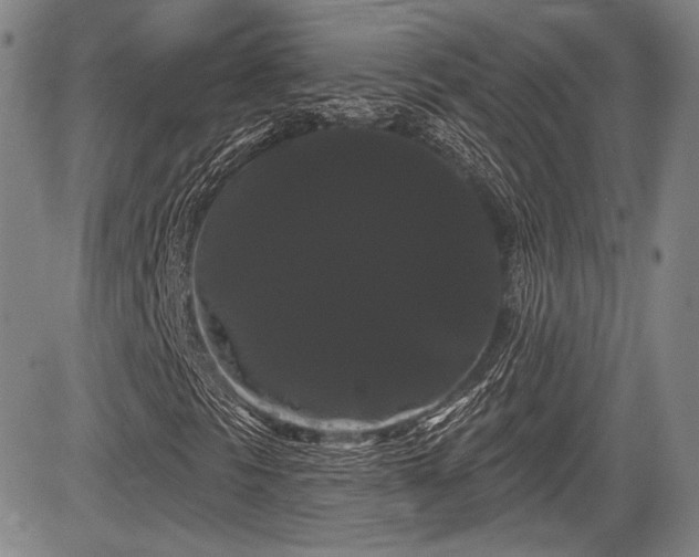 X0000084581297200703021518