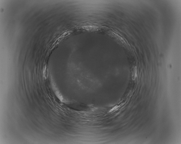 X0000084581298200703021518