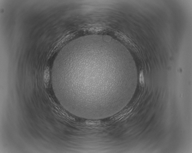 X0000084581299200703021518