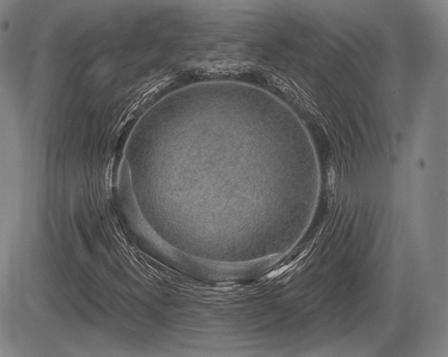 X0000084581300200703021518