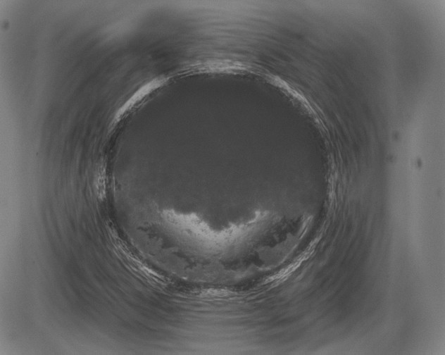 X0000084581306200703021518