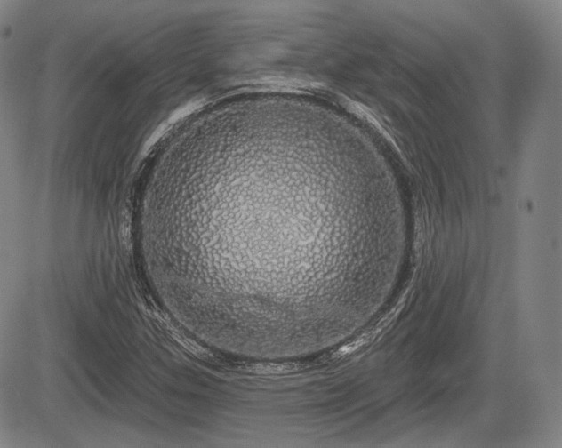 X0000084581307200703021519