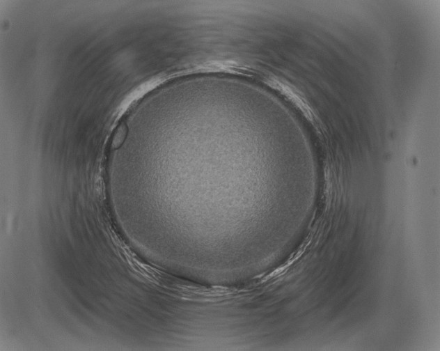 X0000084581308200703021519