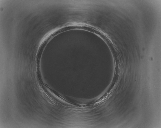 X0000084581319200703021519