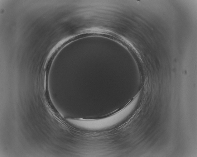 X0000084581323200703021519