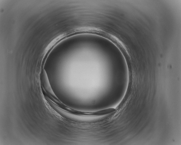 X0000084581330200703021519