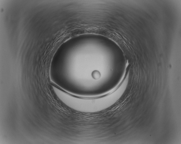 X0000084581345200703021518