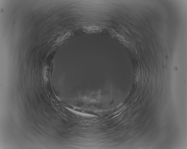 X0000084581346200703021518