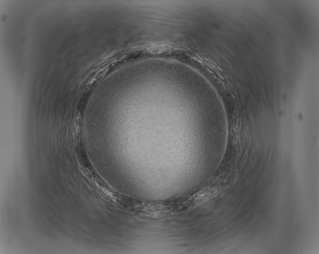 X0000084581349200703021518