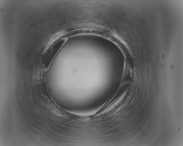 X0000084581352200703021518