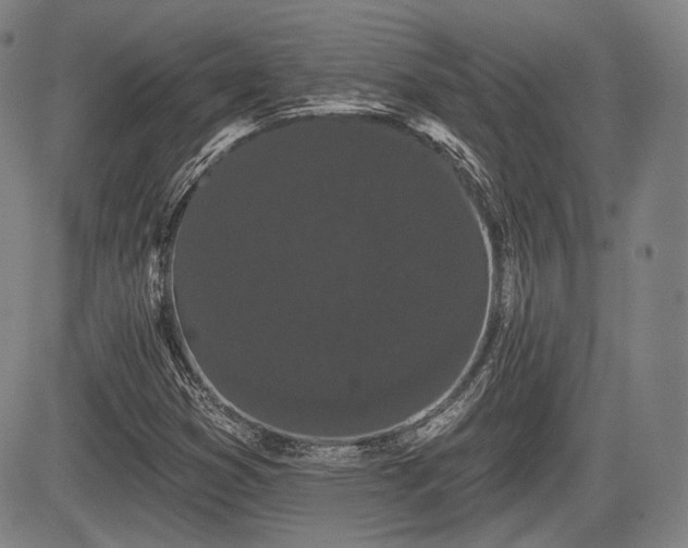 X0000084581353200703021518