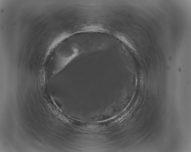 X0000084581358200703021518
