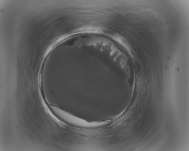 X0000084581383200703021518