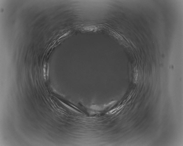 X0000084581394200703021517
