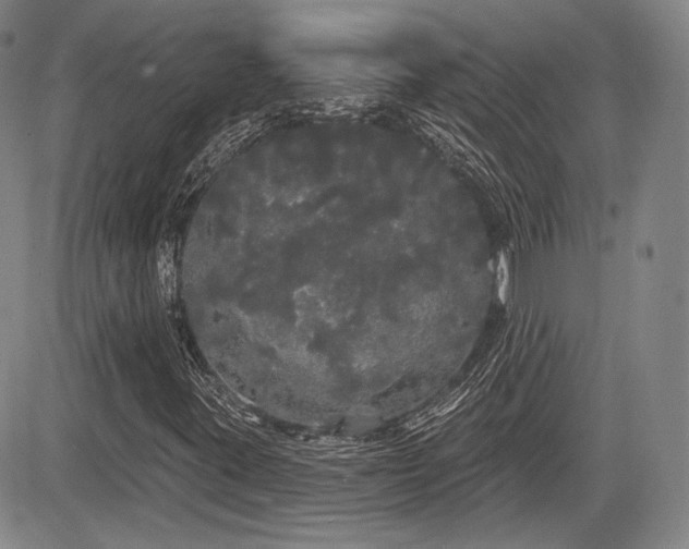 X0000084581395200703021517