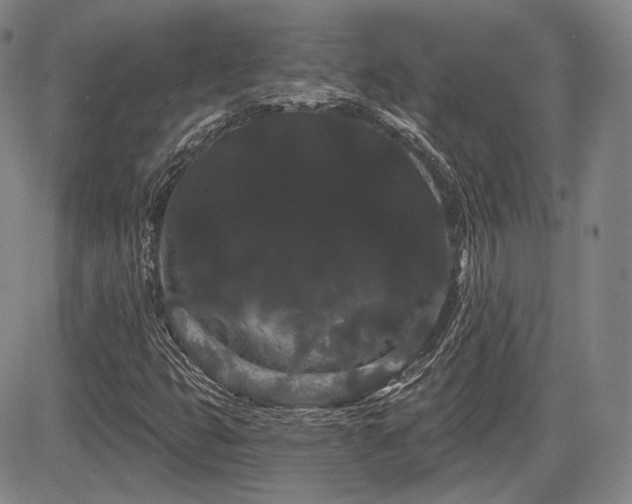 X0000084581399200703021517