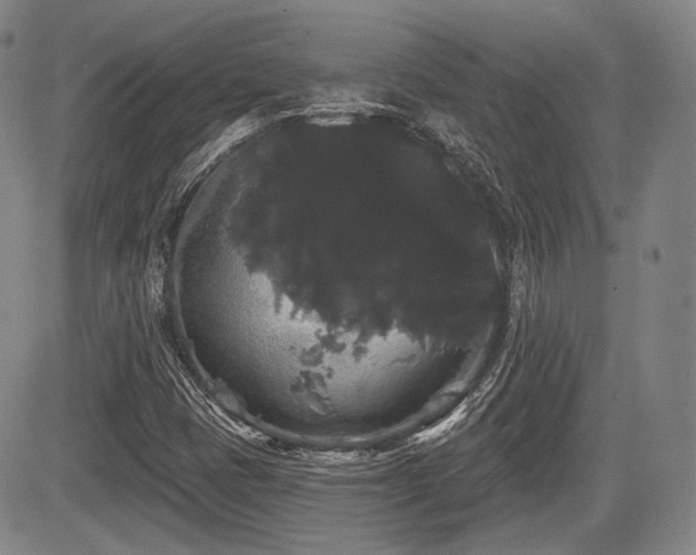 X0000084581401200703021517