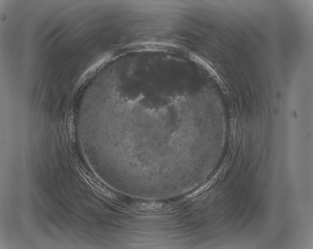 X0000084581403200703021517