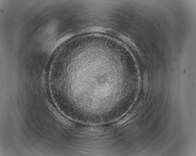 X0000084581404200703021517