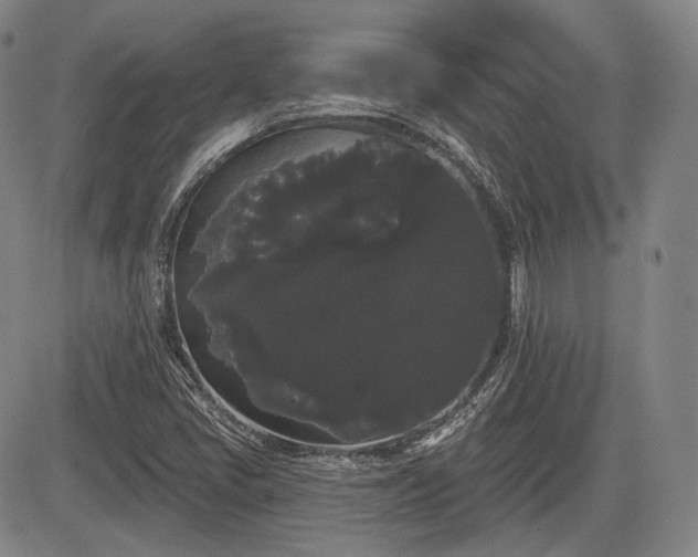 X0000084581405200703021517