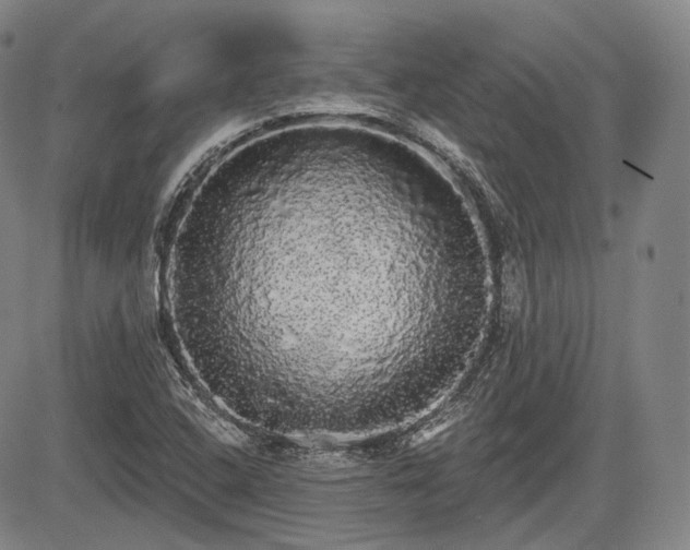 X0000084581408200703021517
