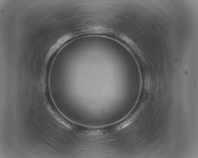 X0000084581410200703021517