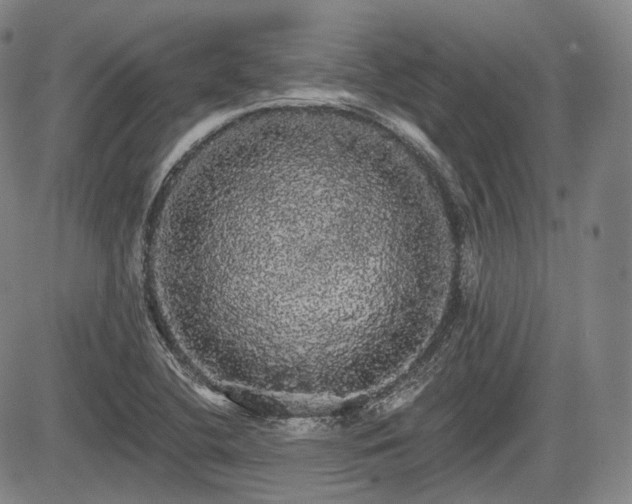 X0000084581412200703021517