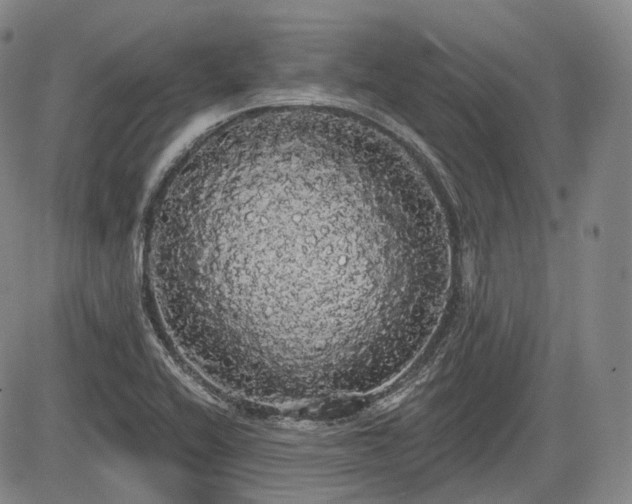 X0000084581416200703021517
