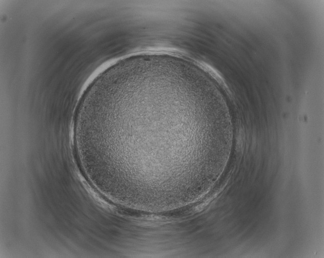 X0000084581420200703021517