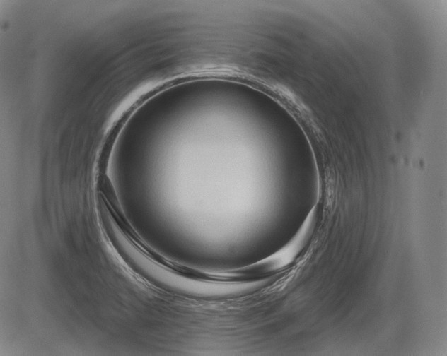 X0000084581422200703021517