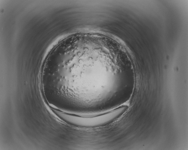 X0000084581432200703021517