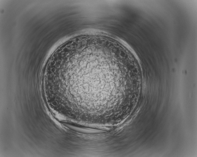 X0000084581437200703021517
