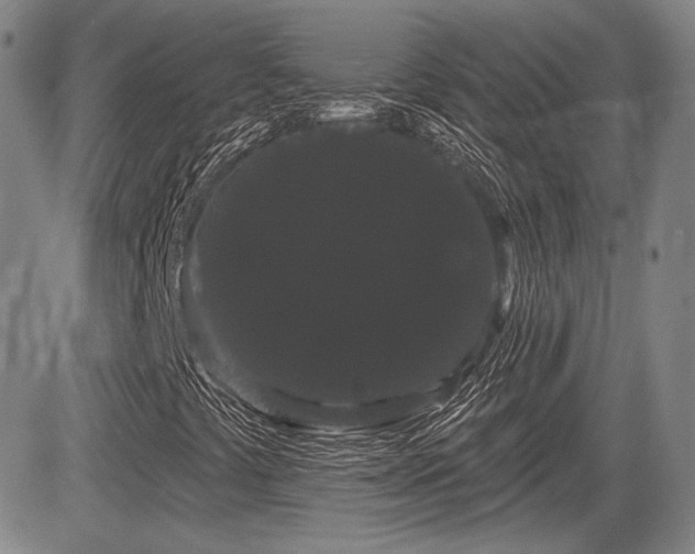 X0000084581441200703021517