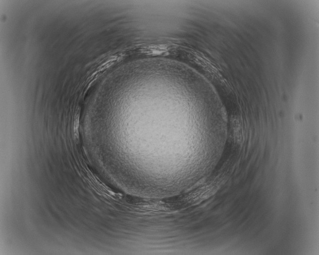 X0000084581442200703021517