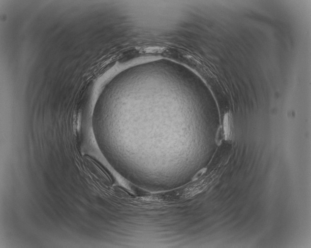 X0000084581443200703021517