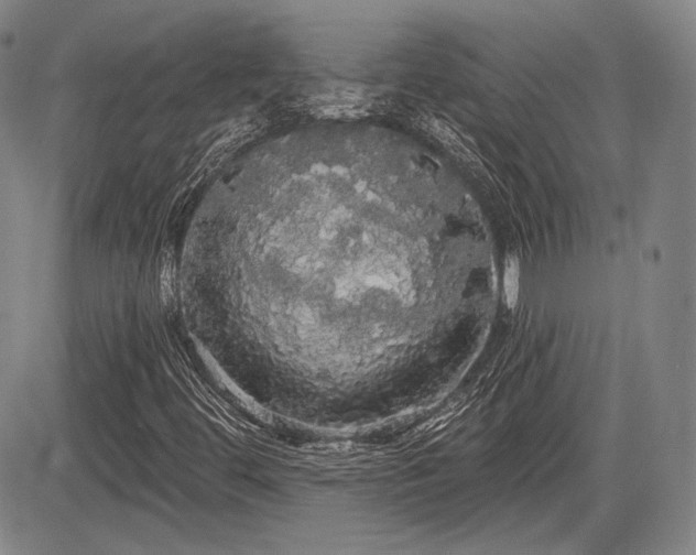 X0000084581444200703021517