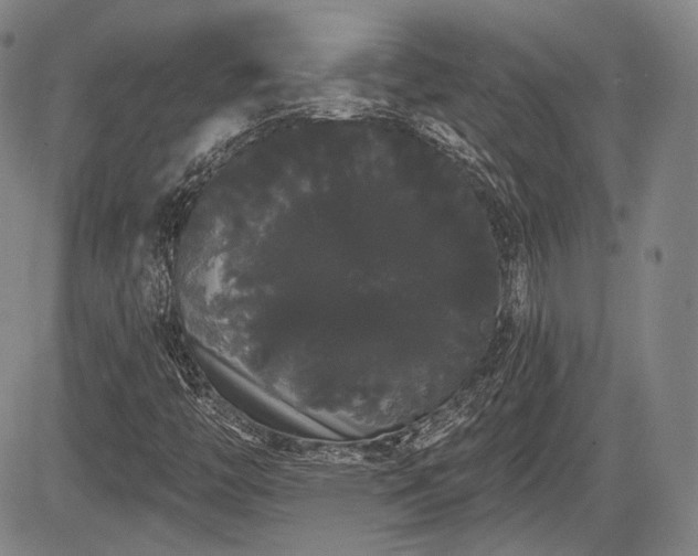 X0000084581446200703021517