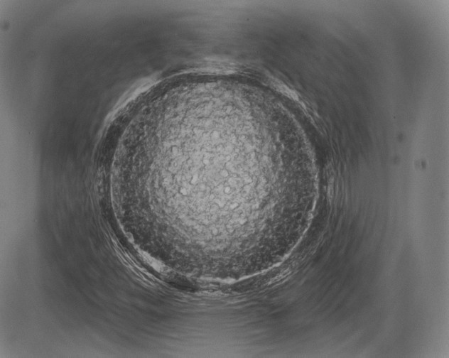 X0000084581448200703021517