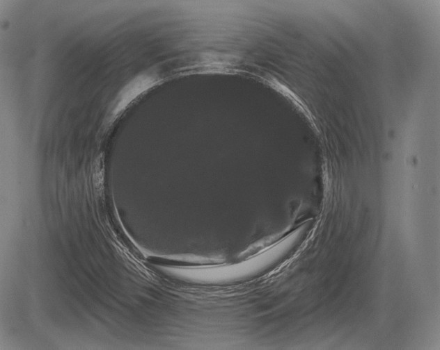 X0000084581450200703021517