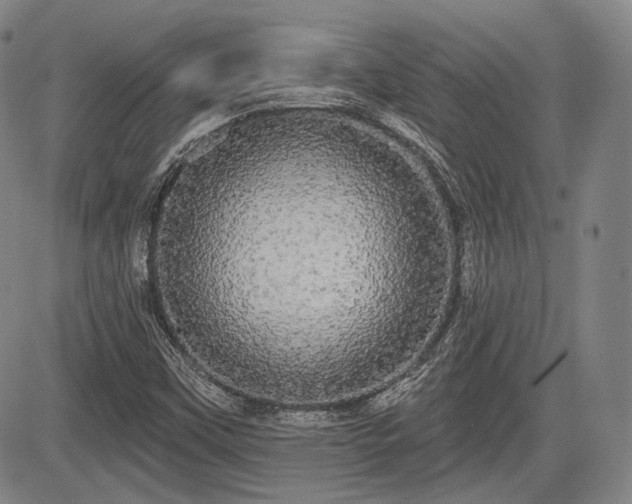 X0000084581451200703021516