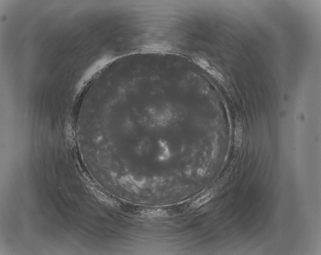 X0000084581454200703021516