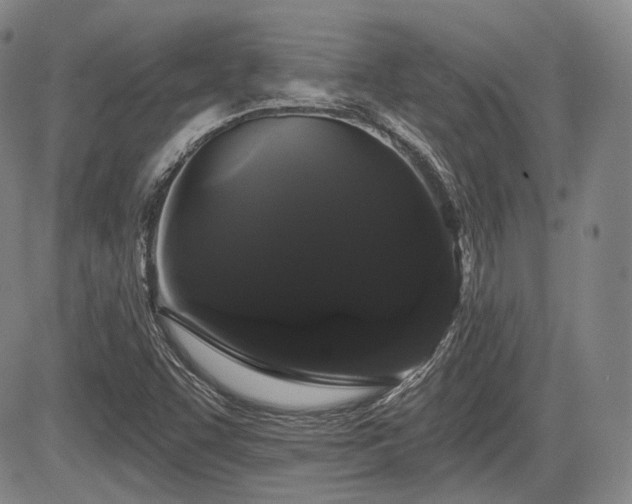 X0000084581455200703021516